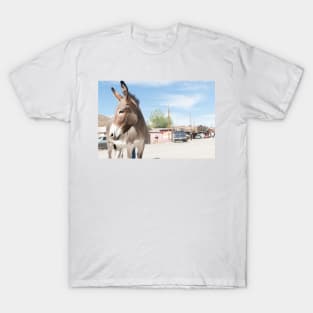 Oatman donkey in main street of small old ghost town on Route 66. T-Shirt